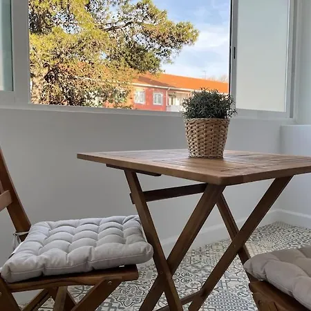 Confortavel Apartamento De 3 Quartos Proximo A
